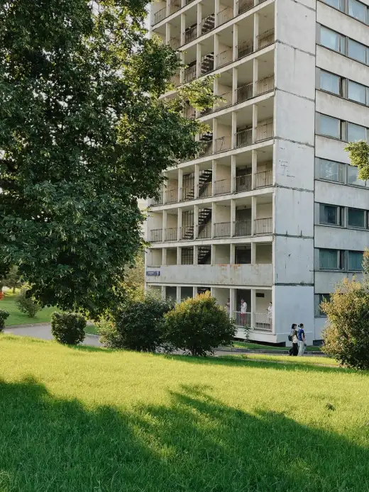 Heller Plattenbau mit umlaufenden Loggia-Balkonen an einem begrünten Hang, davor eine sonnige Wiese mit großem Laubbaum und Sträuchern – typisches Wohnbild für das Neubaugebiet Dresden-Gorbitz.