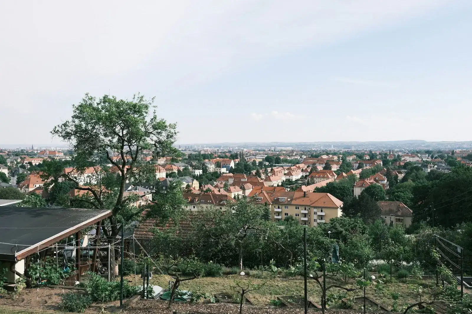 Blick von einem begrünten Gartengrundstück am Hang über die roten Ziegeldächer eines Villenviertels hinweg auf das weite Stadtpanorama – typisch für die Elbhanglage von Dresden-Loschwitz.