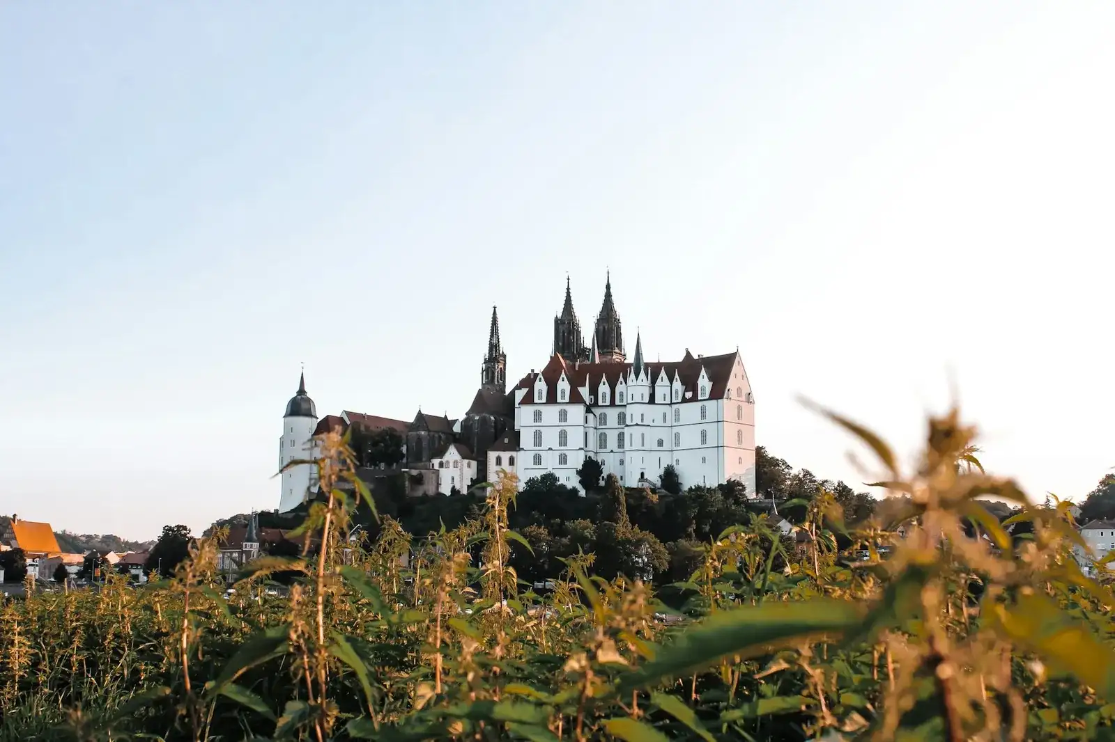 Die weiße Albrechtsburg mit den gotischen Doppeltürmen des Meißner Doms auf dem Burgberg hoch über der Altstadt von Meißen bei Dresden