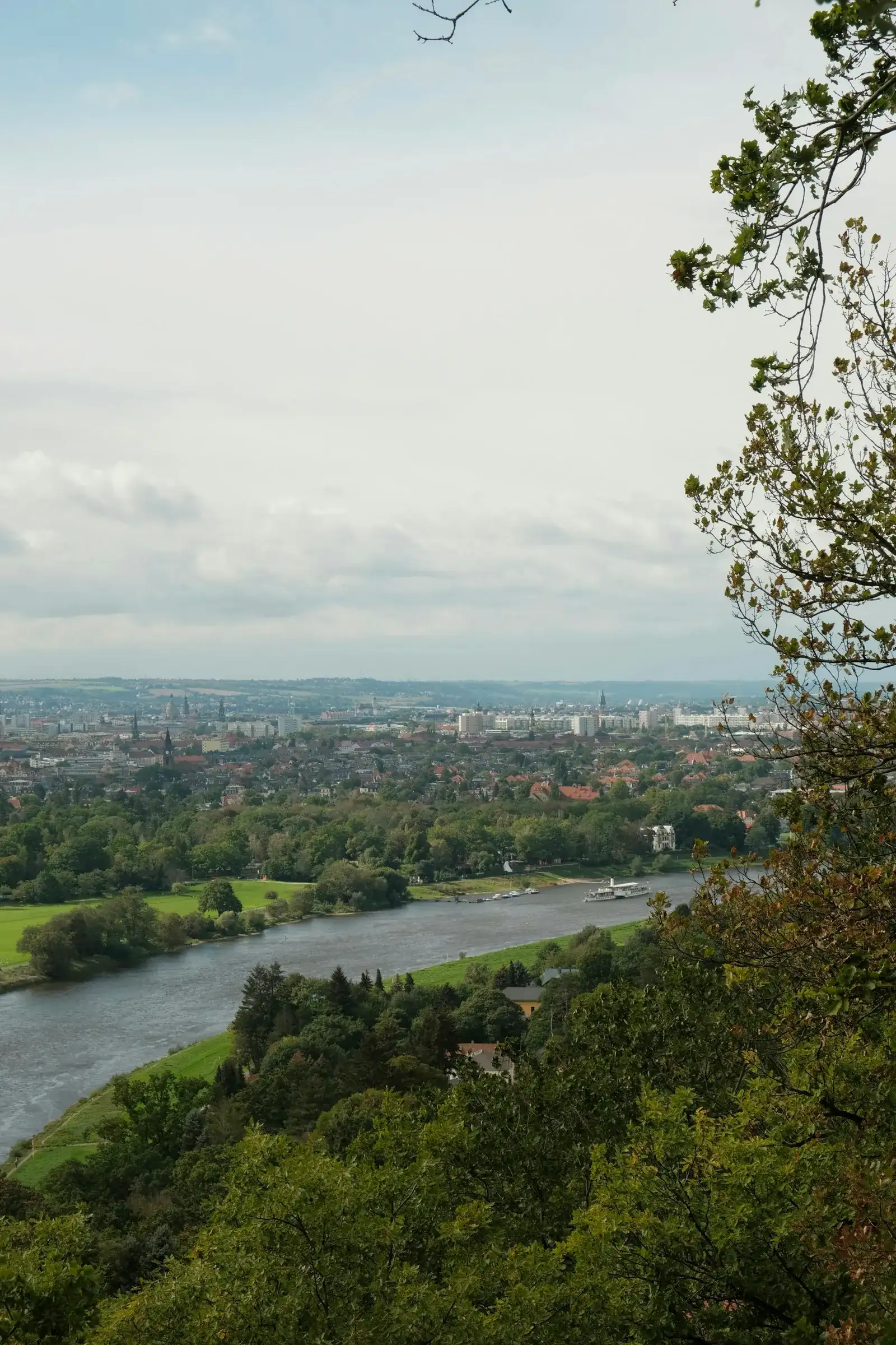 Blick vom bewaldeten Elbhang über die Elbe mit Elbwiesen, Ausflugsdampfer und einer Villa am Hang hinüber auf das Häusermeer und die Türme von Dresden – die typische Höhenlage über dem Elbtal wie am Weißen Hirsch und in Bühlau.